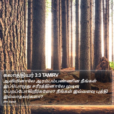 கலாத்தியர் 3:3 TAMIRV Bible Verse Image