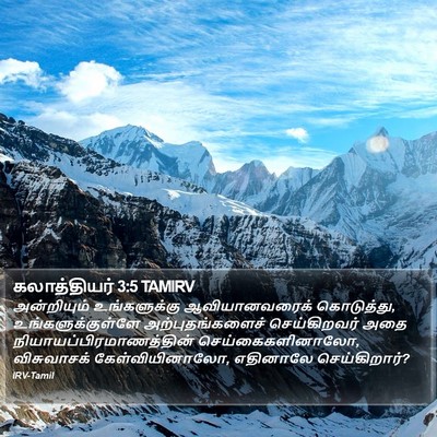 கலாத்தியர் 3:5 TAMIRV Bible Verse Image