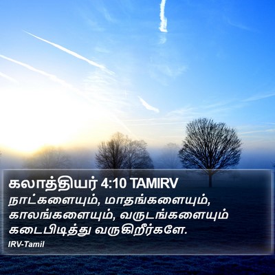 கலாத்தியர் 4:10 TAMIRV Bible Verse Image