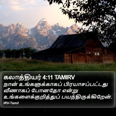கலாத்தியர் 4:11 TAMIRV Bible Verse Image
