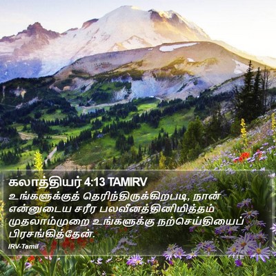 கலாத்தியர் 4:13 TAMIRV Bible Verse Image