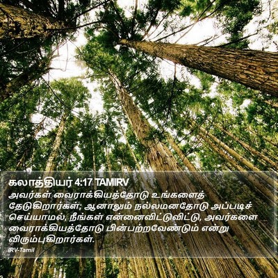 கலாத்தியர் 4:17 TAMIRV Bible Verse Image