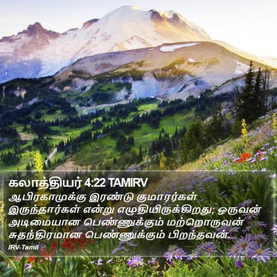 கலாத்தியர் 4:22 TAMIRV Bible Verse Image