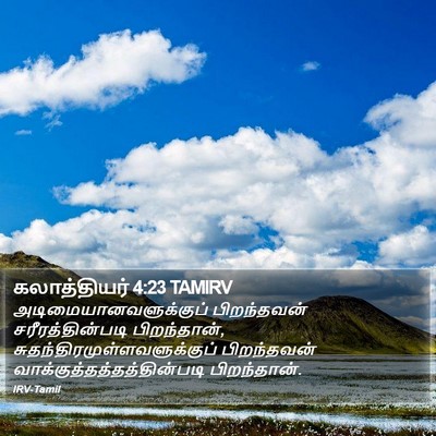 கலாத்தியர் 4:23 TAMIRV Bible Verse Image