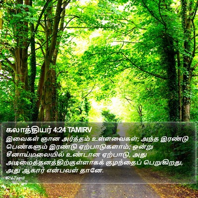 கலாத்தியர் 4:24 TAMIRV Bible Verse Image