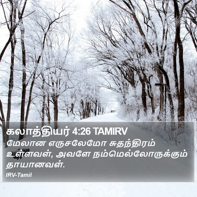 கலாத்தியர் 4:26 TAMIRV Bible Verse Image
