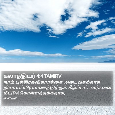 கலாத்தியர் 4:4 TAMIRV Bible Verse Image