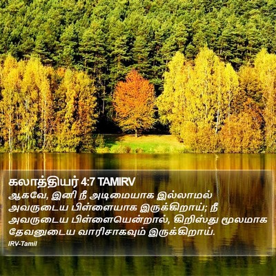 கலாத்தியர் 4:7 TAMIRV Bible Verse Image