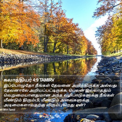 கலாத்தியர் 4:9 TAMIRV Bible Verse Image