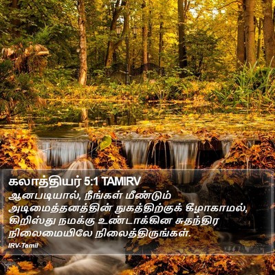 கலாத்தியர் 5:1 TAMIRV Bible Verse Image