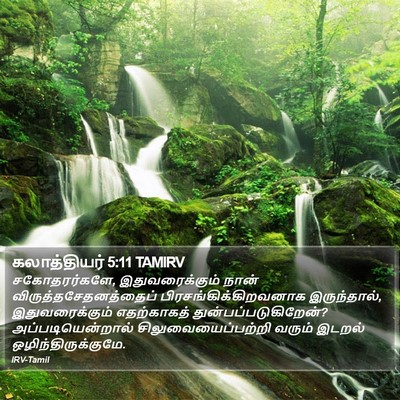 கலாத்தியர் 5:11 TAMIRV Bible Verse Image
