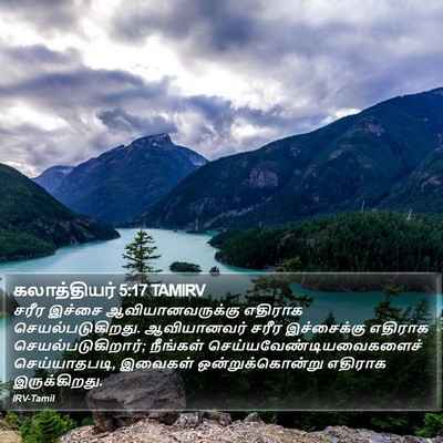 கலாத்தியர் 5:17 TAMIRV Bible Verse Image