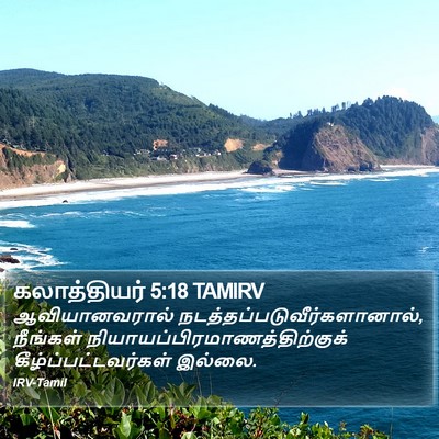கலாத்தியர் 5:18 TAMIRV Bible Verse Image