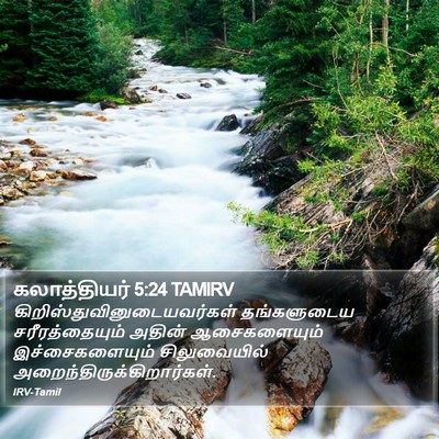 கலாத்தியர் 5:24 TAMIRV Bible Verse Image