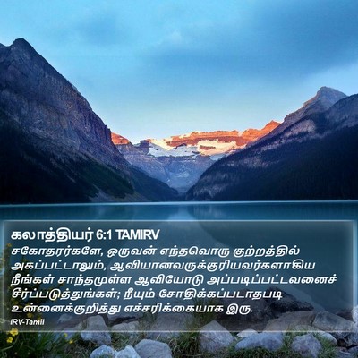 கலாத்தியர் 6:1 TAMIRV Bible Verse Image