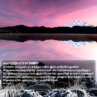 கலாத்தியர் 6:14 TAMIRV Bible Verse Image