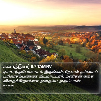 கலாத்தியர் 6:7 TAMIRV Bible Verse Image