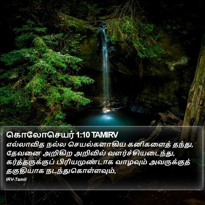 கொலோசெயர் 1:10 TAMIRV Bible Verse Image