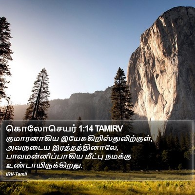 கொலோசெயர் 1:14 TAMIRV Bible Verse Image