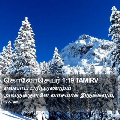 கொலோசெயர் 1:19 TAMIRV Bible Verse Image