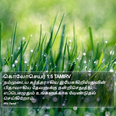 கொலோசெயர் 1:5 TAMIRV Bible Verse Image