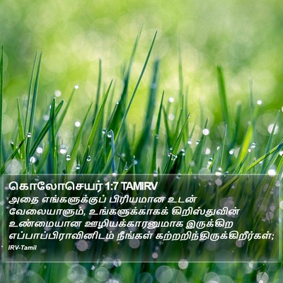 கொலோசெயர் 1:7 TAMIRV Bible Verse Image