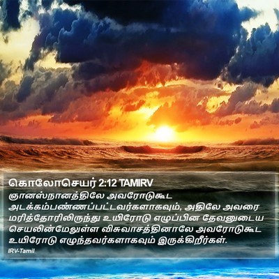கொலோசெயர் 2:12 TAMIRV Bible Verse Image