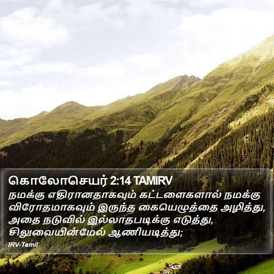 கொலோசெயர் 2:14 TAMIRV Bible Verse Image