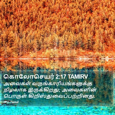 கொலோசெயர் 2:17 TAMIRV Bible Verse Image