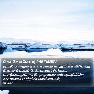 கொலோசெயர் 2:18 TAMIRV Bible Verse Image