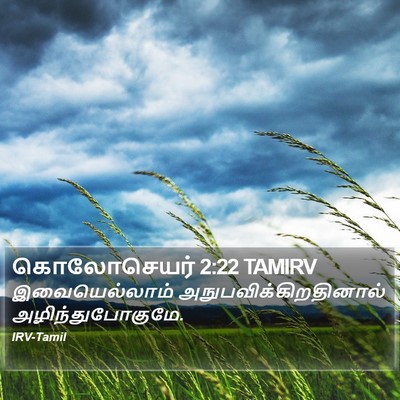 கொலோசெயர் 2:22 TAMIRV Bible Verse Image