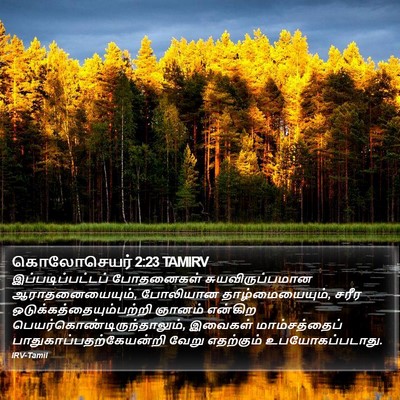 கொலோசெயர் 2:23 TAMIRV Bible Verse Image