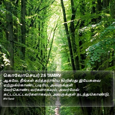 கொலோசெயர் 2:6 TAMIRV Bible Verse Image