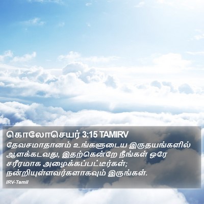 கொலோசெயர் 3:15 TAMIRV Bible Verse Image