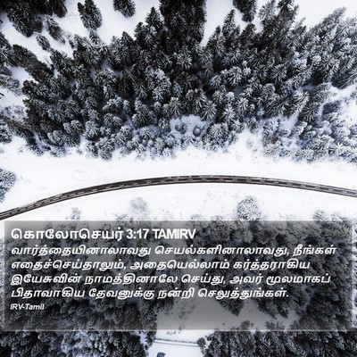 கொலோசெயர் 3:17 TAMIRV Bible Verse Image
