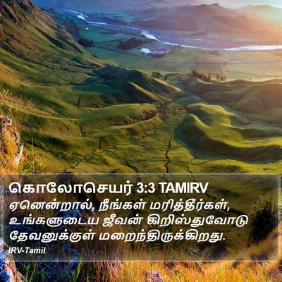 கொலோசெயர் 3:3 TAMIRV Bible Verse Image