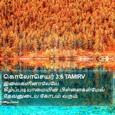 கொலோசெயர் 3:6 TAMIRV Bible Verse Image