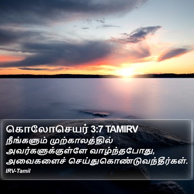 கொலோசெயர் 3:7 TAMIRV Bible Verse Image