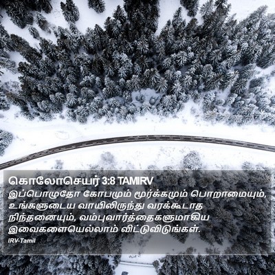 கொலோசெயர் 3:8 TAMIRV Bible Verse Image
