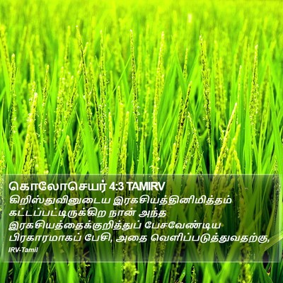 கொலோசெயர் 4:3 TAMIRV Bible Verse Image