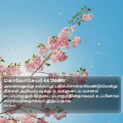 கொலோசெயர் 4:6 TAMIRV Bible Verse Image