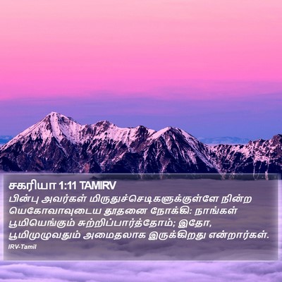 சகரியா 1:11 TAMIRV Bible Verse Image