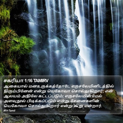 சகரியா 1:16 TAMIRV Bible Verse Image