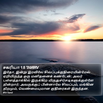 சகரியா 1:8 TAMIRV Bible Verse Image