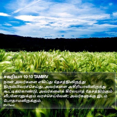 சகரியா 10:10 TAMIRV Bible Verse Image