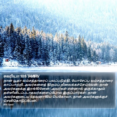சகரியா 10:6 TAMIRV Bible Verse Image
