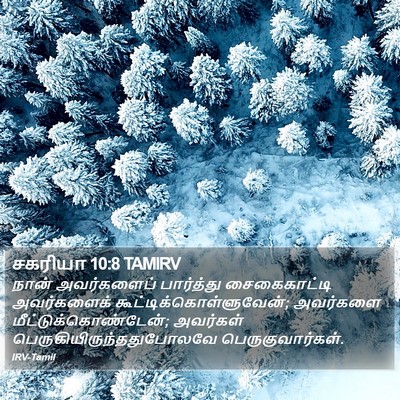 சகரியா 10:8 TAMIRV Bible Verse Image
