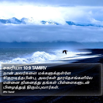 சகரியா 10:9 TAMIRV Bible Verse Image