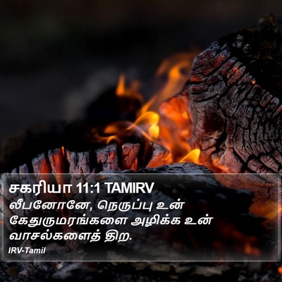 சகரியா 11:1 TAMIRV Bible Verse Image