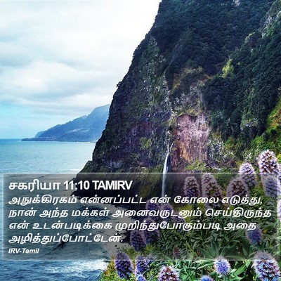 சகரியா 11:10 TAMIRV Bible Verse Image